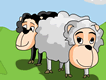 Sheep Dog